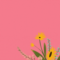 �������� �������! � ���� ��������!