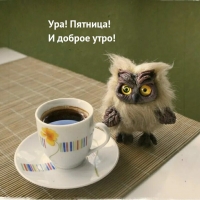 ���! �������! � ������ ����!