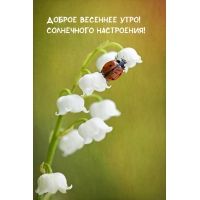 ������ �������� ����! ���������� ����������!