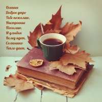 ������� ������ ���� ���� �������