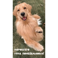 �������� ���� ������������!