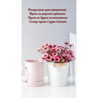 ����������� ���� ����������, ����� �� ������� ��������