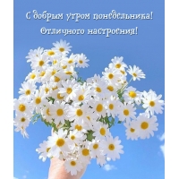 � ������ ����� ������������! ��������� ����������!