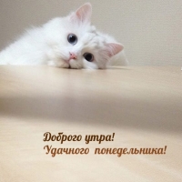 ������� ����! �������� ������������!