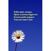 ������ ����, ������, ����� ��������� ����� ���.