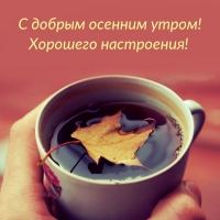 � ������ ������� �����! �������� ����������!