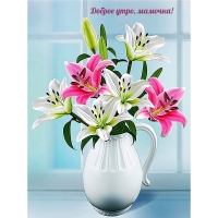 ������ ����, �������!