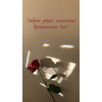 ������ ����, �������! ����������� ���!