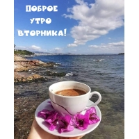 ������ ���� ��������!