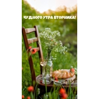 ������� ���� ��������!