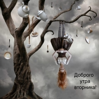 ������� ���� ��������!