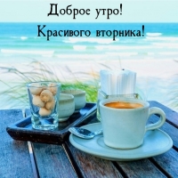 ������ ����! ��������� ��������!