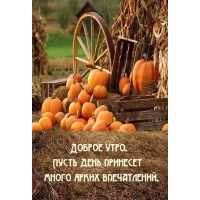 ������ ����. ����� ���� �������� ����� ����� �����������.