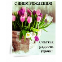 � ���� ��������! �������, �������, �����!