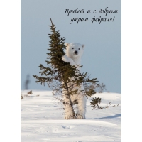 ������ � � ������ ����� �������!