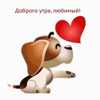 ������� ����, �������!