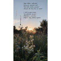 ���� ������, �������! ��������, ������� ���?