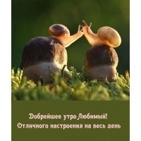 ��������� ���� �������! ��������� ���������� �� ���� ����