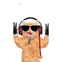 � ���� ��������! ���� �������� ���������� ����������