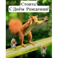 ������! � ���� ��������!