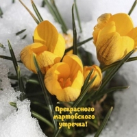 ����������� ����������� �������!