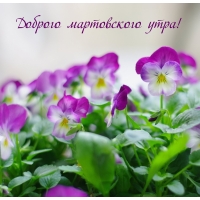 ������� ����������� ����!