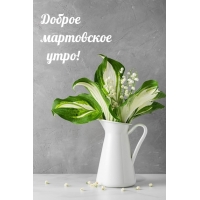 ������ ���������� ����!