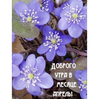 ������� ���� � ������ ������!