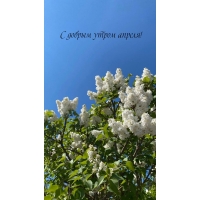 � ������ ����� ������!