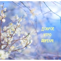 ������ ���� ������!