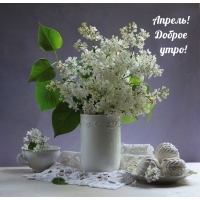 ������! ������ ����!