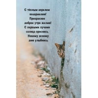 � ����� �������! ���������� ������ ���� �����!