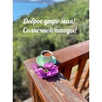 ������ ���� ���! ��������� ������!