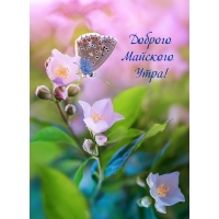 ������� �������� ����!