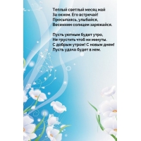 ������ ������� ����� ��� �� �����. ��� ��������!