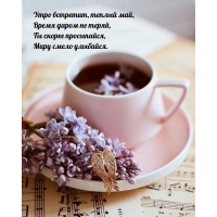 ���� ��������, ������ ���, ����� ����� �� �����