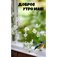 ������ ���� ���!