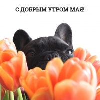 � ������ ����� ���!