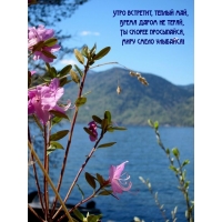 ���� ��������, ������ ���, ����� ����� �� �����