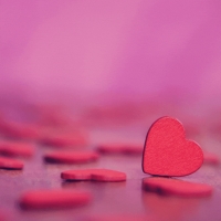 ����� ���������� ������