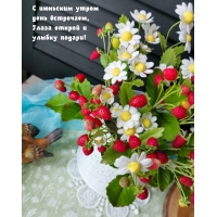 � �������� ����� ���� ���������, ����� ������ � ������ ������!