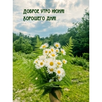 ������ ���� ����! �������� ���!