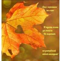 ��� �������� �����