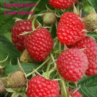 ���������� ���� ����!