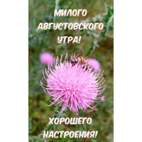 ������ ������������� ����! �������� ����������!