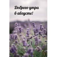 ������� ���� � �������!