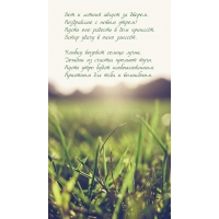 ��� � ������ ������ �� ������. ���������� � ����� �����!