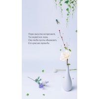 ���� ������� ���������, �� ������ ��� ����