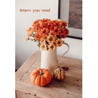 ������� ���� �����!