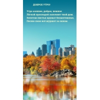 ���� �������, ������, ������ ����� ��������� �������� ���� ���.